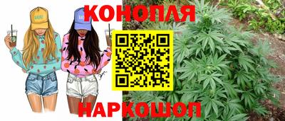 мяу мяу мука Мариинск