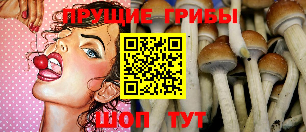 Псилоцибиновые грибы GOLDEN TEACHER  Вход с VPN  цена наркотик  Псилоцибиновые грибы ЛСД  Гусь-Хрустальный 